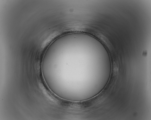 X0000112410677200908281814