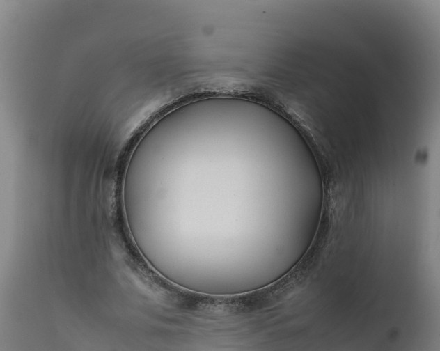 X0000112410679200908281814