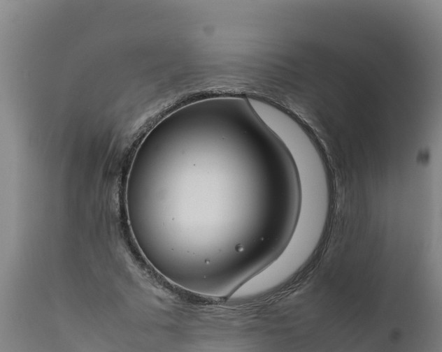 X0000112410681200908281814