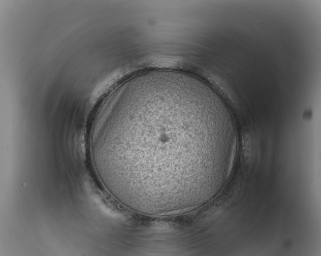 X0000112410682200908281814