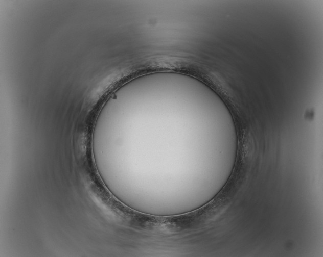 X0000112410683200908281814