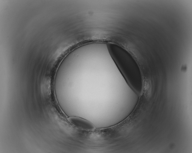 X0000112410684200908281814