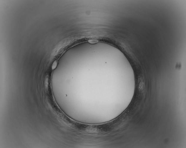 X0000112410685200908281814