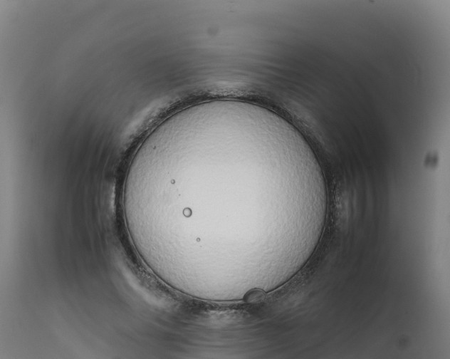 X0000112410686200908281814