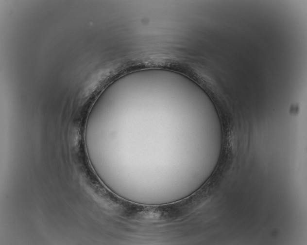 X0000112410687200908281814