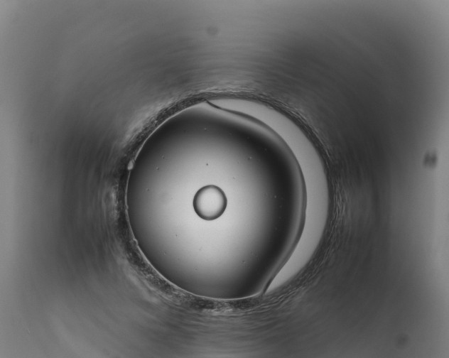 X0000112410688200908281814