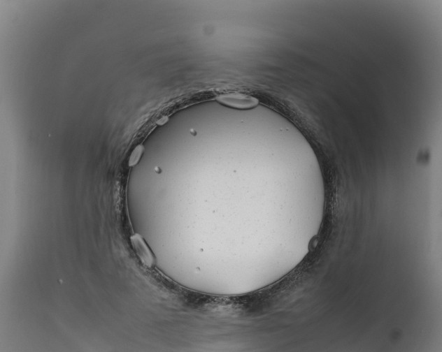 X0000112410689200908281814