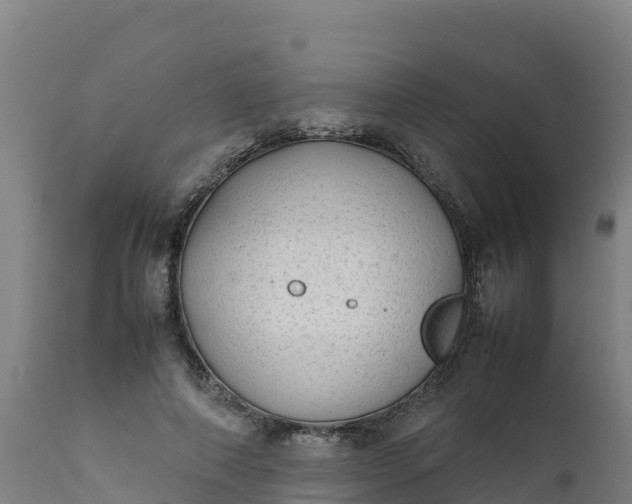 X0000112410690200908281814