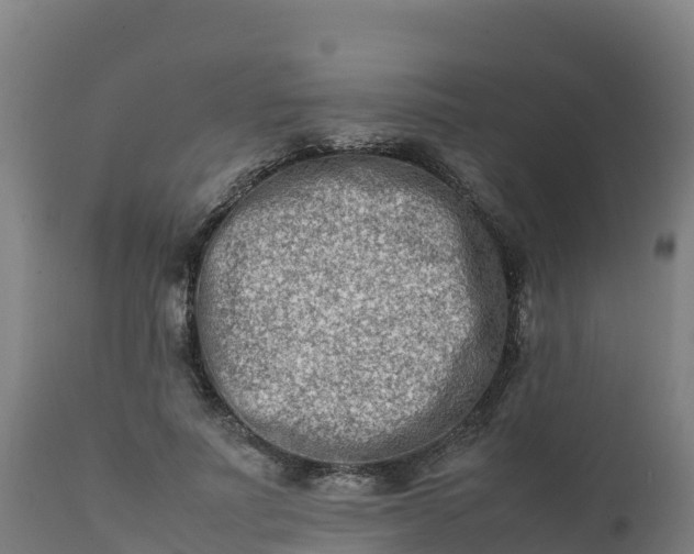 X0000112410691200908281814