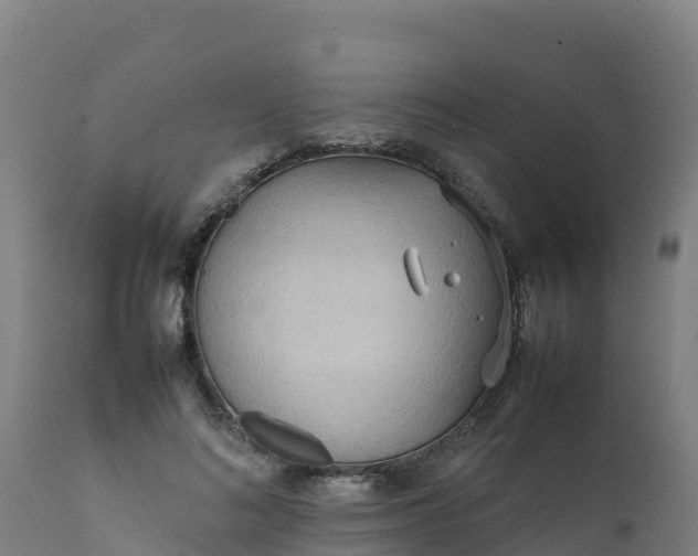 X0000112410692200908281814