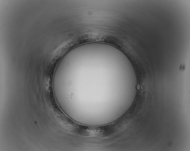 X0000112410693200908281814