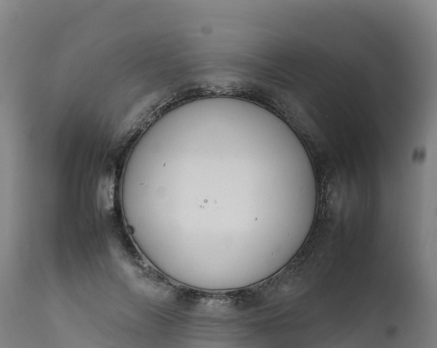 X0000112410694200908281814