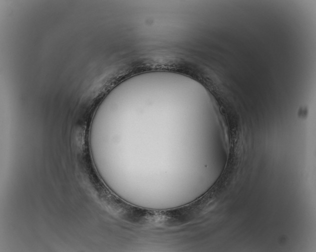 X0000112410695200908281814