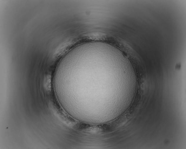 X0000112410696200908281814