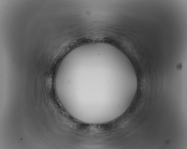 X0000112410697200908281814