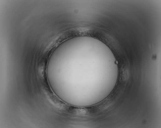 X0000112410698200908281814