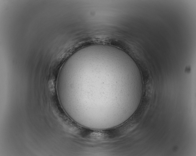 X0000112410699200908281814