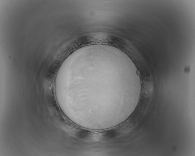 X0000112410701200908281814