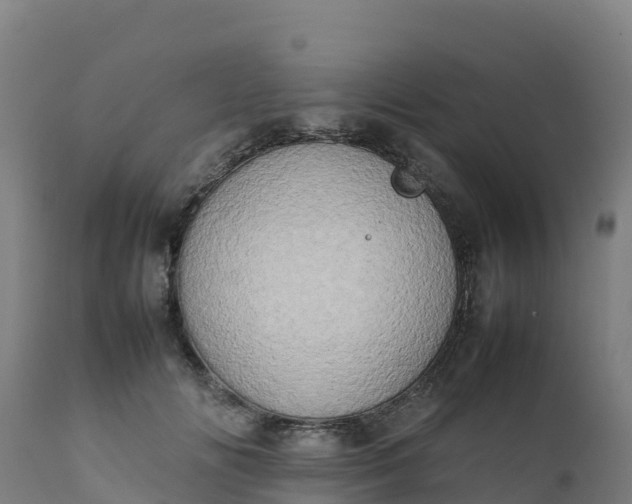 X0000112410702200908281814