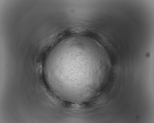 X0000112410703200908281814