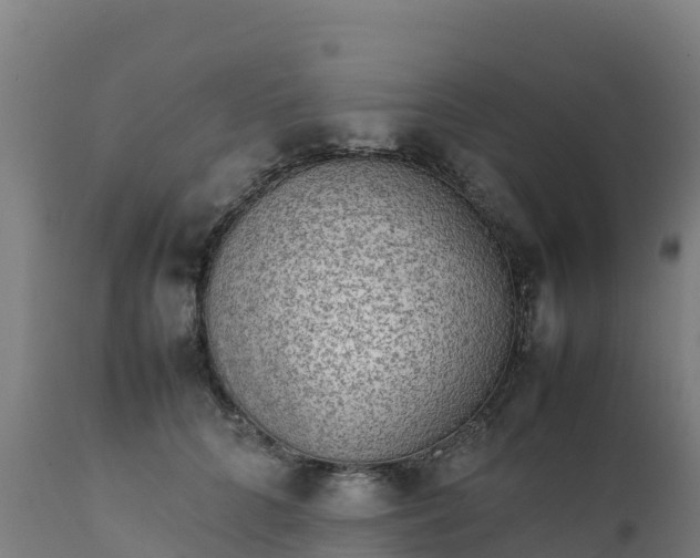 X0000112410704200908281814