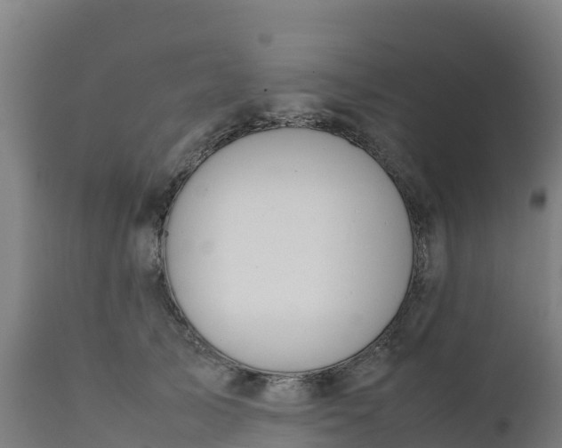 X0000112410705200908281814