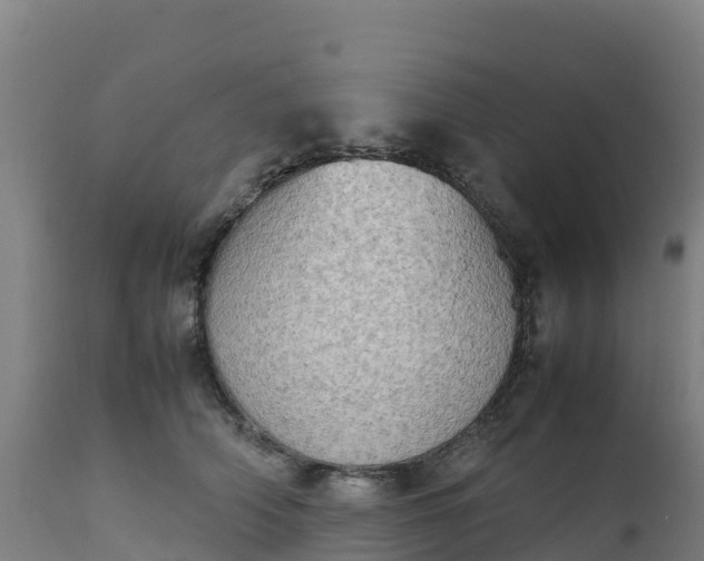 X0000112410706200908281814