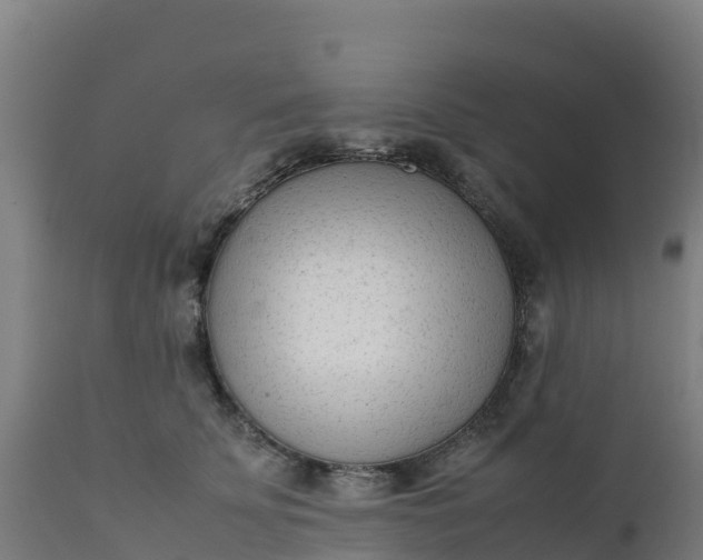 X0000112410707200908281814