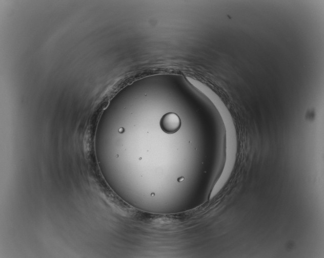 X0000112410708200908281814