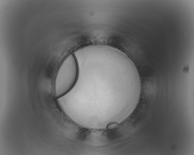 X0000112410709200908281814