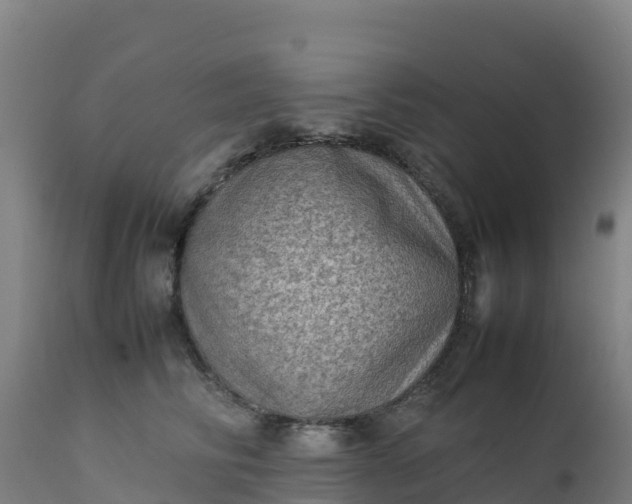 X0000112410710200908281814