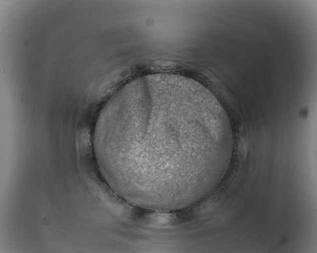 X0000112410711200908281814