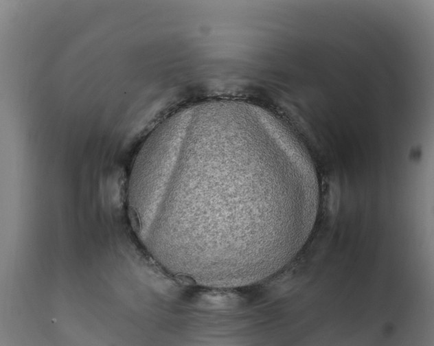 X0000112410712200908281814