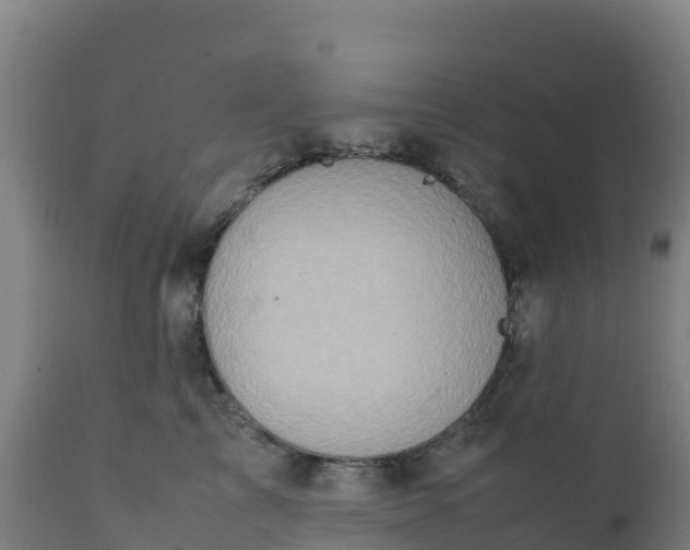 X0000112410713200908281814