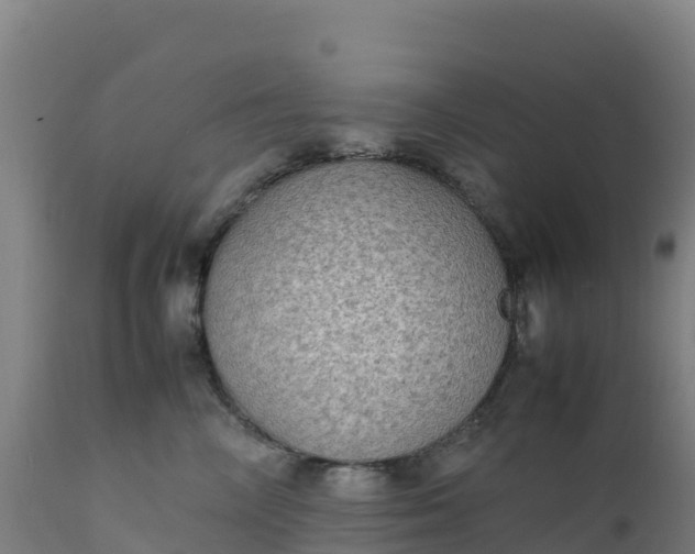 X0000112410714200908281814