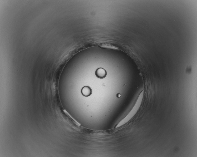 X0000112410716200908281814