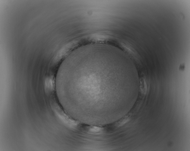 X0000112410718200908281814