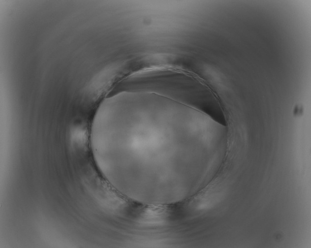 X0000112410720200908281814