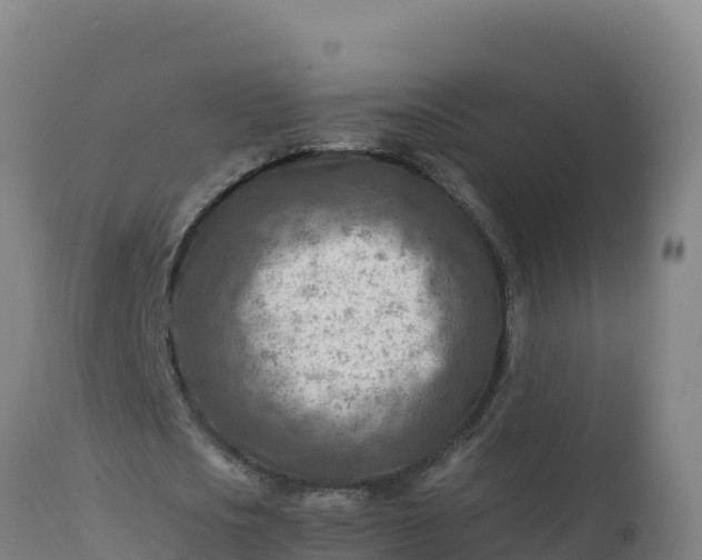 X0000112410721200908281813