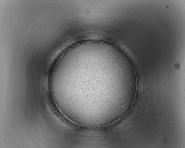 X0000112410722200908281813