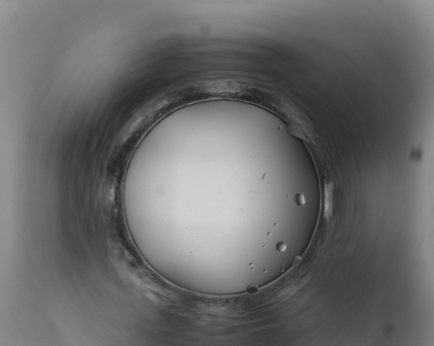 X0000112410723200908281813