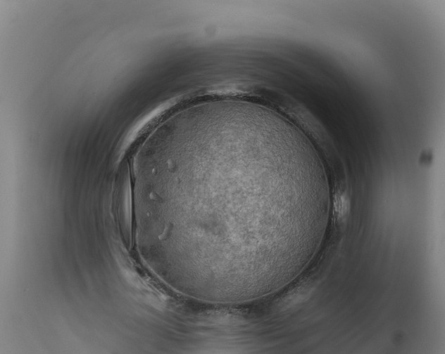 X0000112410724200908281813