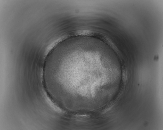 X0000112410725200908281813