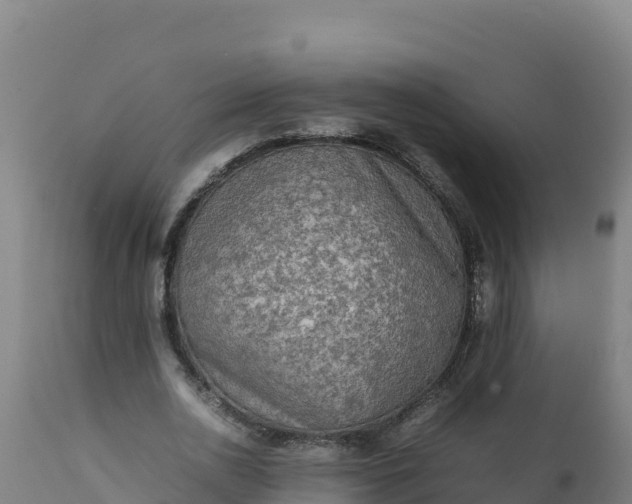 X0000112410726200908281813