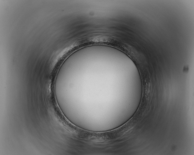 X0000112410727200908281813