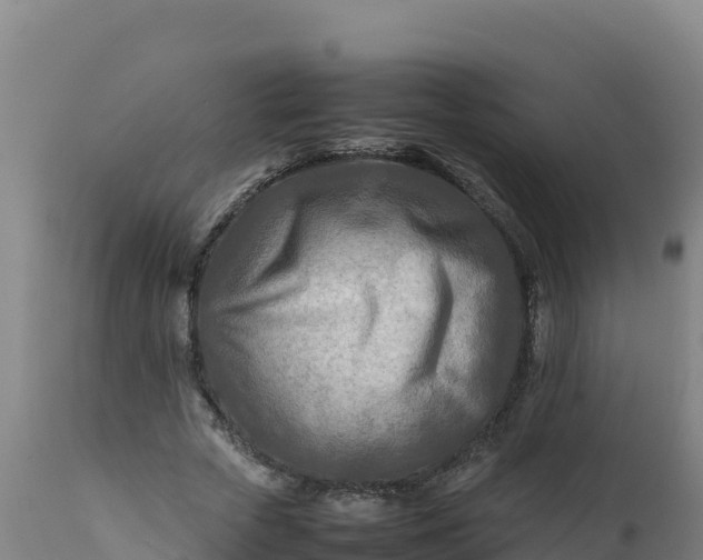 X0000112410729200908281813