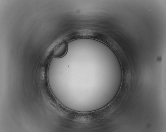 X0000112410731200908281813