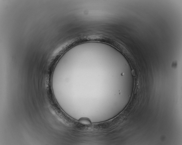 X0000112410732200908281813