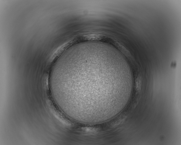 X0000112410733200908281813