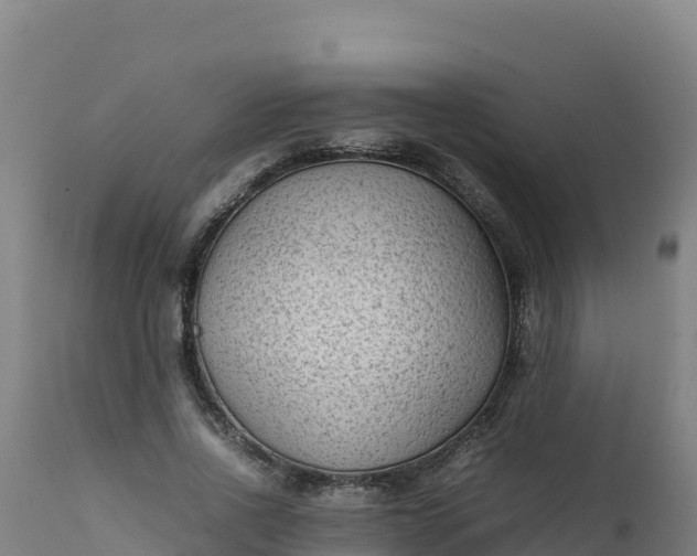 X0000112410734200908281813